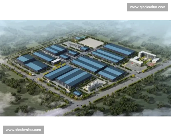 深度解析足球行业投资战略布局与未来价值增长路径研究探索与实践